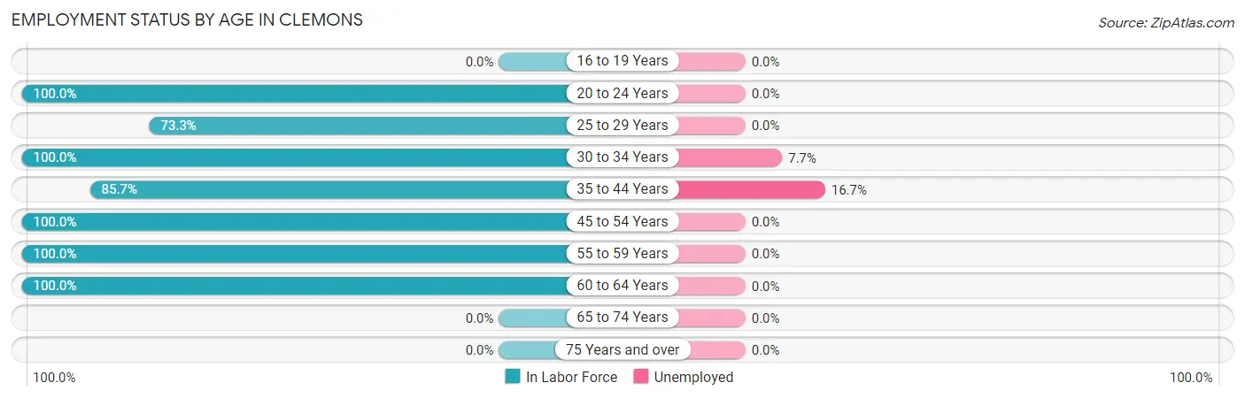 Employment Status by Age in Clemons