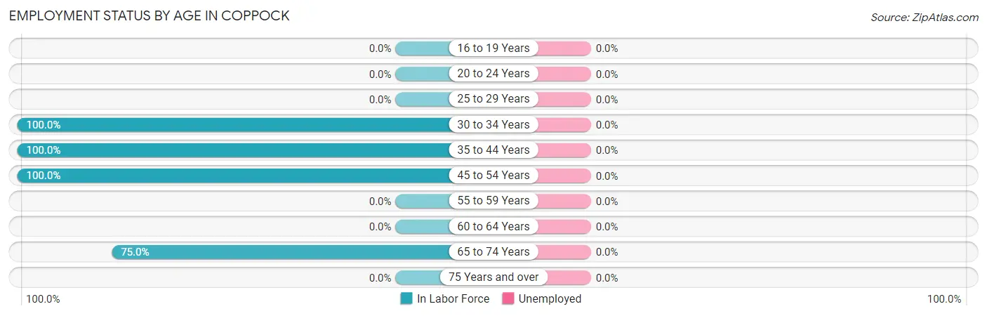 Employment Status by Age in Coppock