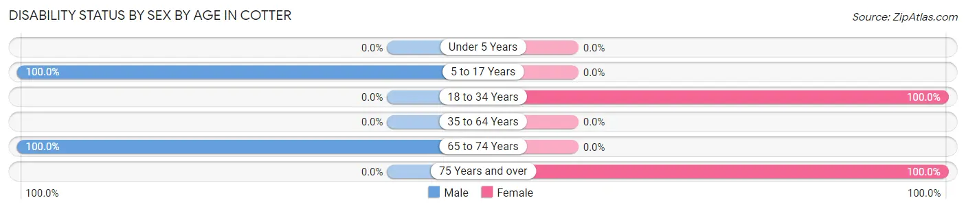 Disability Status by Sex by Age in Cotter