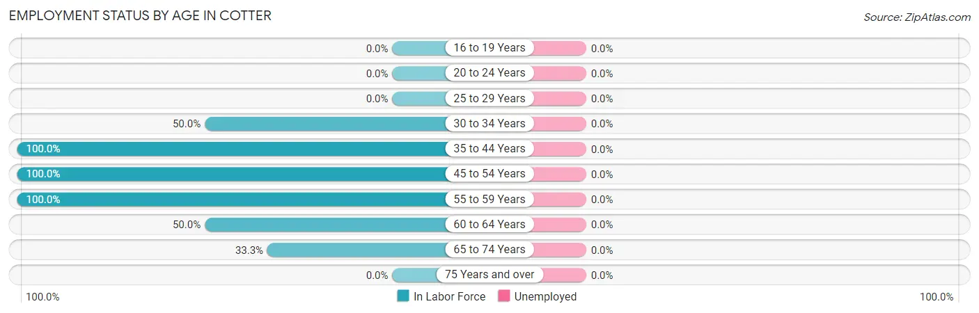 Employment Status by Age in Cotter