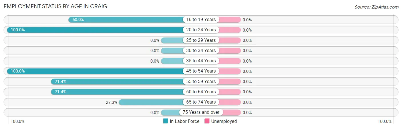 Employment Status by Age in Craig