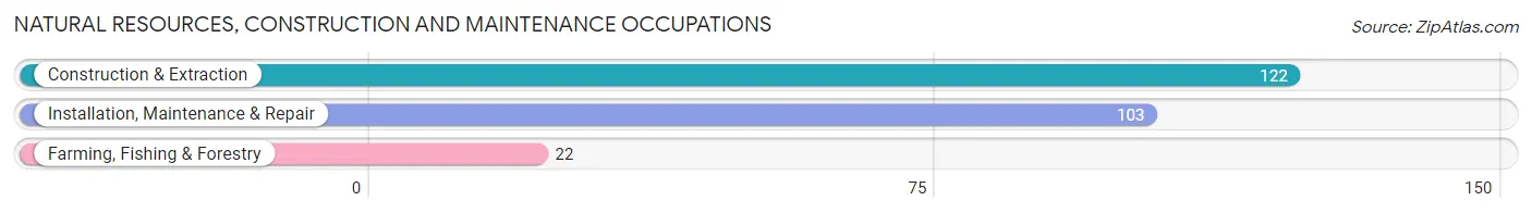 Natural Resources, Construction and Maintenance Occupations in Cresco