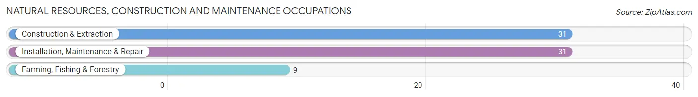 Natural Resources, Construction and Maintenance Occupations in Dallas Center