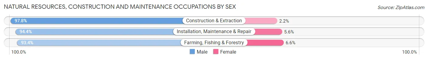 Natural Resources, Construction and Maintenance Occupations by Sex in Davenport