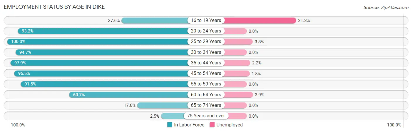 Employment Status by Age in Dike