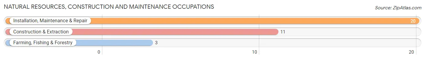 Natural Resources, Construction and Maintenance Occupations in Dike