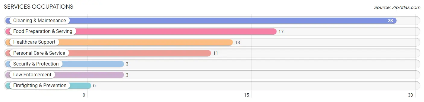 Services Occupations in Dike