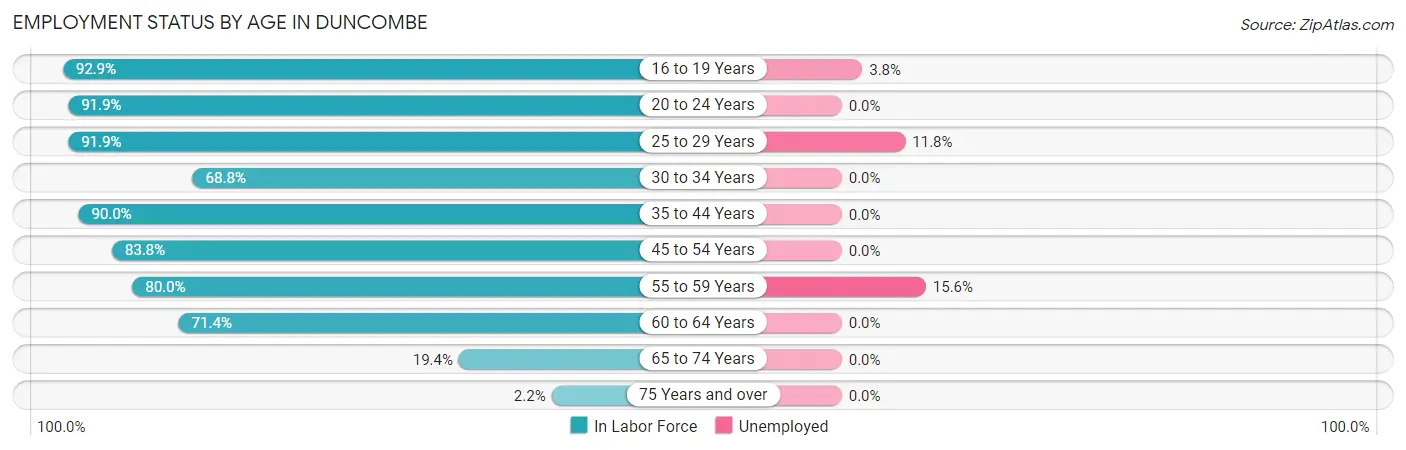 Employment Status by Age in Duncombe