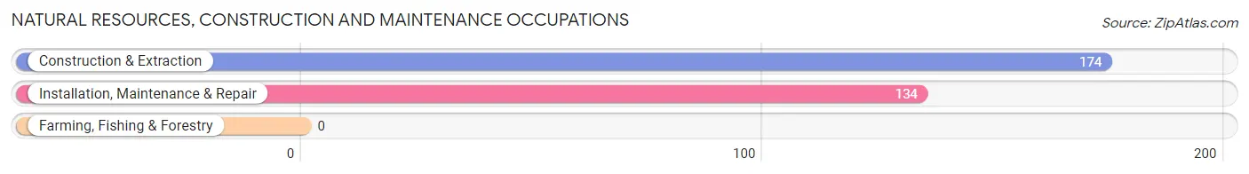 Natural Resources, Construction and Maintenance Occupations in Dyersville