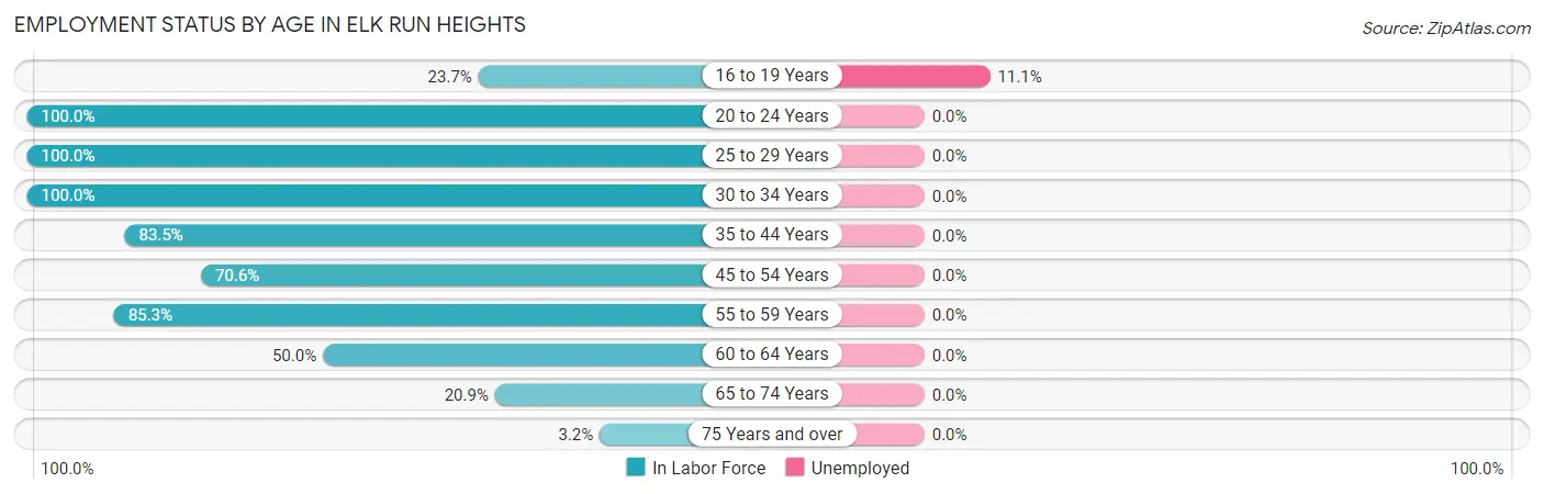 Employment Status by Age in Elk Run Heights