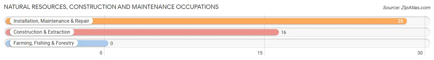 Natural Resources, Construction and Maintenance Occupations in Elk Run Heights