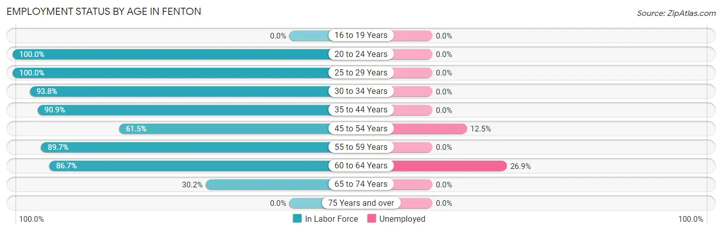 Employment Status by Age in Fenton