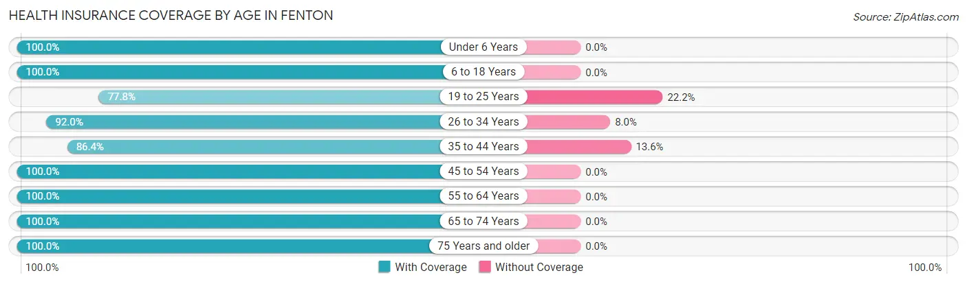 Health Insurance Coverage by Age in Fenton