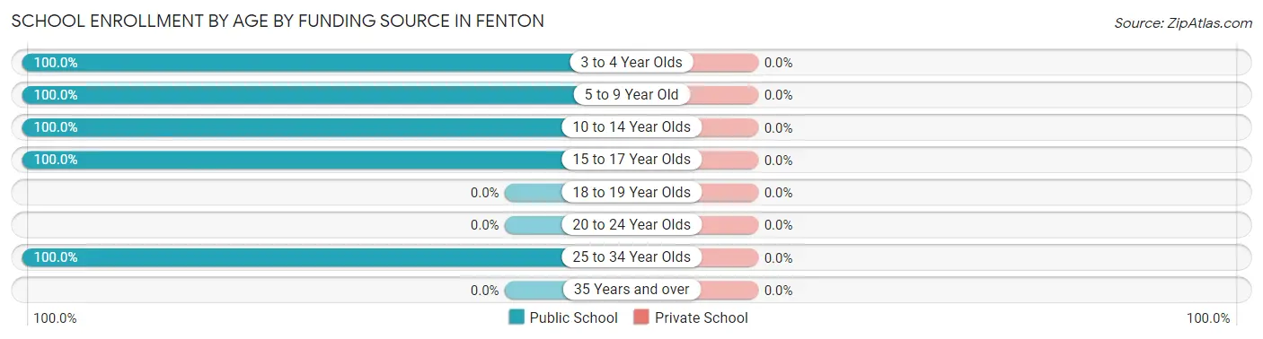 School Enrollment by Age by Funding Source in Fenton