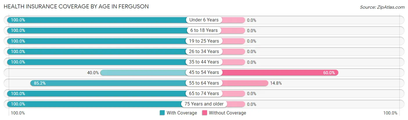 Health Insurance Coverage by Age in Ferguson
