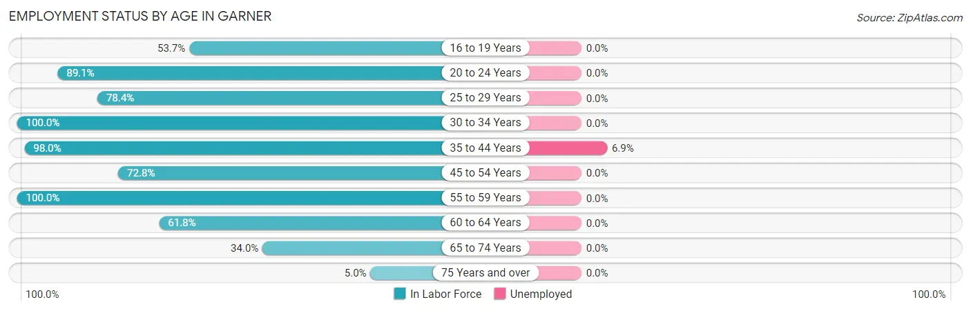 Employment Status by Age in Garner