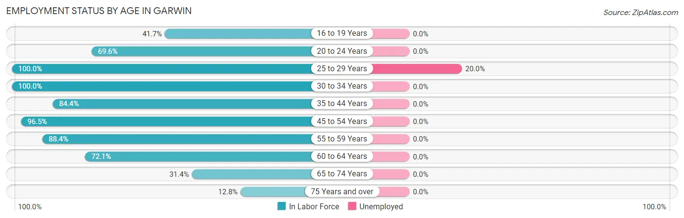 Employment Status by Age in Garwin