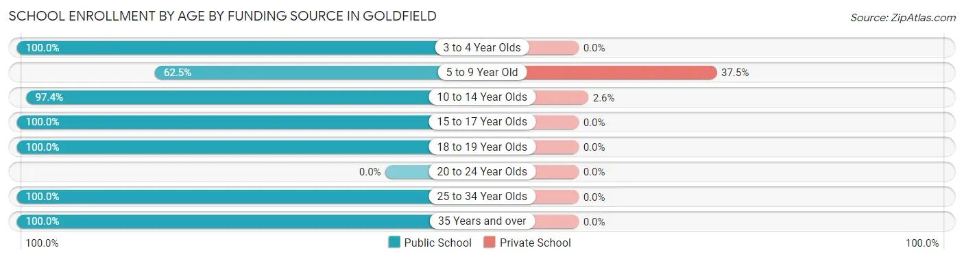 School Enrollment by Age by Funding Source in Goldfield