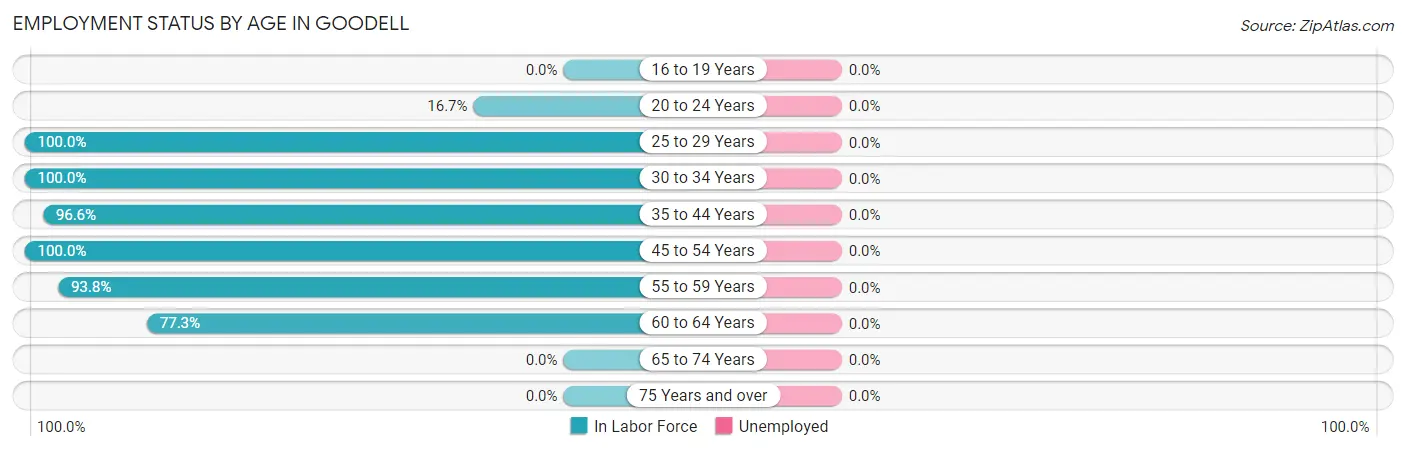 Employment Status by Age in Goodell