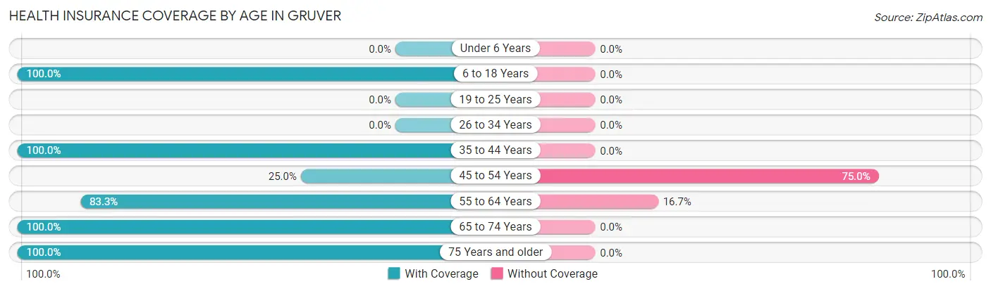 Health Insurance Coverage by Age in Gruver