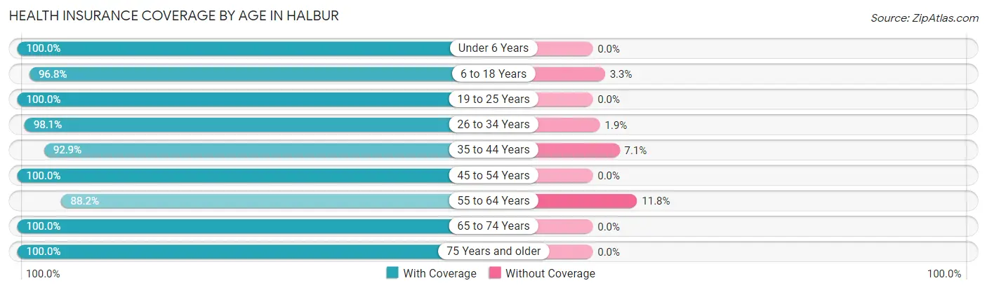 Health Insurance Coverage by Age in Halbur