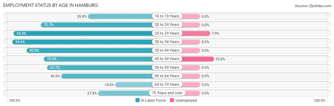 Employment Status by Age in Hamburg