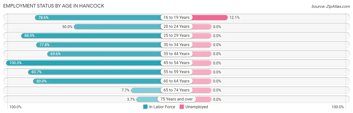 Employment Status by Age in Hancock