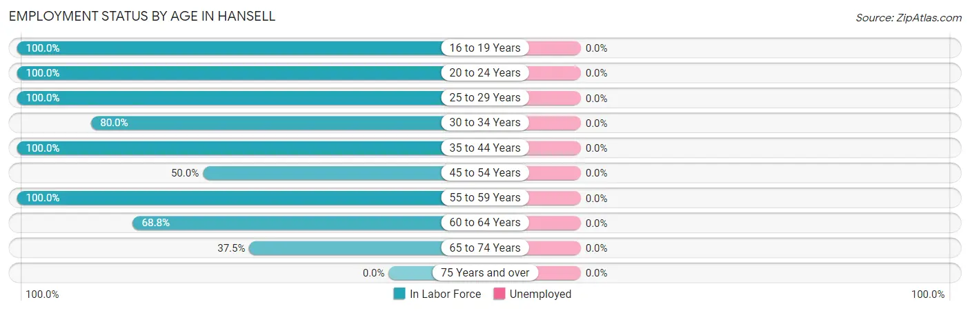 Employment Status by Age in Hansell