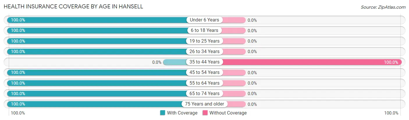 Health Insurance Coverage by Age in Hansell