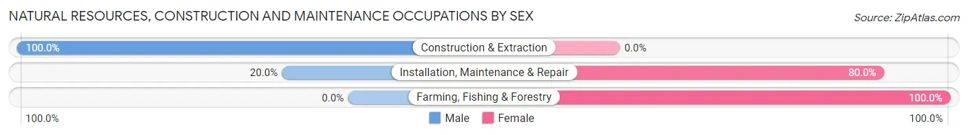 Natural Resources, Construction and Maintenance Occupations by Sex in Haverhill