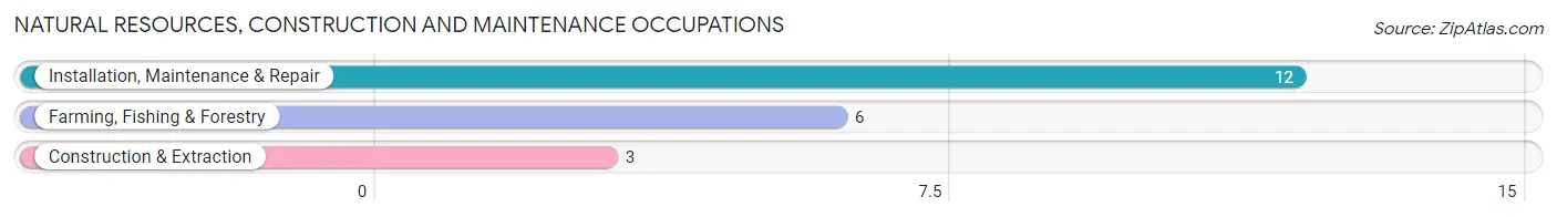 Natural Resources, Construction and Maintenance Occupations in Henderson