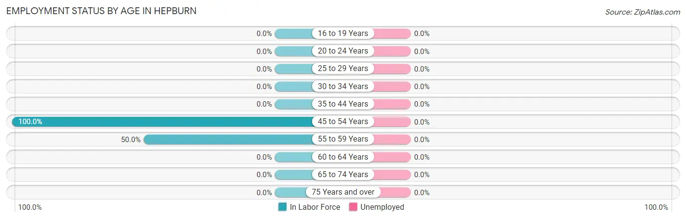 Employment Status by Age in Hepburn