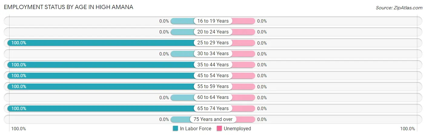 Employment Status by Age in High Amana
