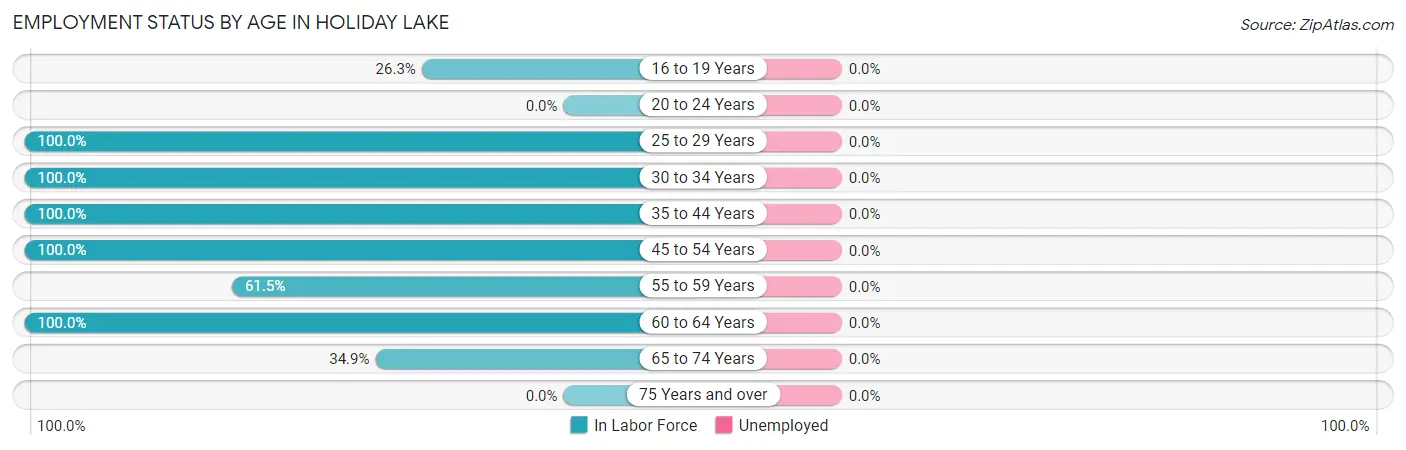 Employment Status by Age in Holiday Lake