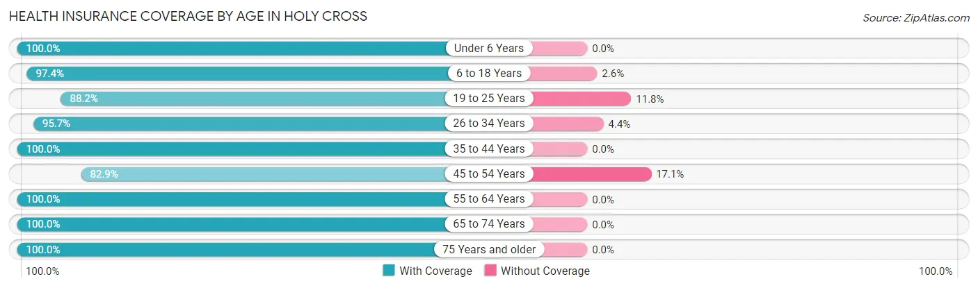 Health Insurance Coverage by Age in Holy Cross