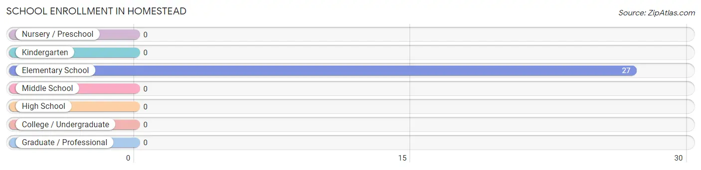 School Enrollment in Homestead