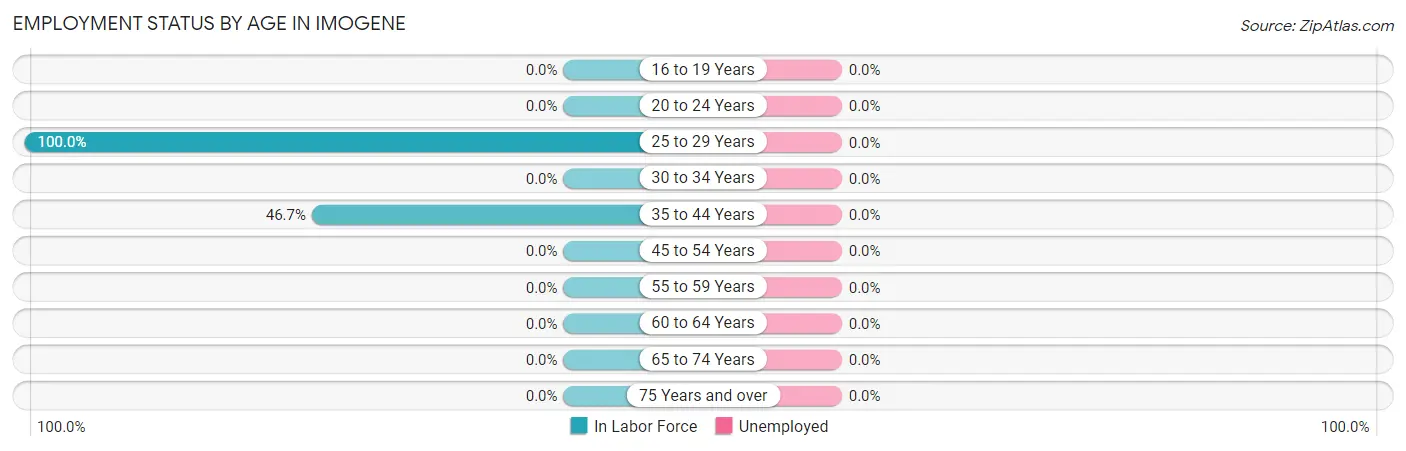 Employment Status by Age in Imogene
