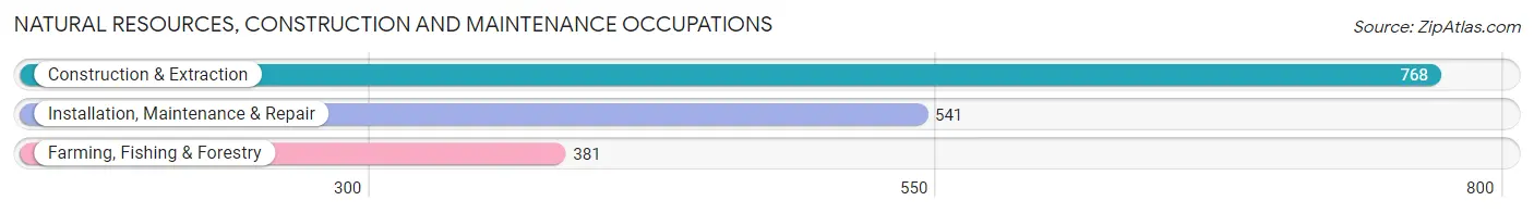 Natural Resources, Construction and Maintenance Occupations in Iowa City