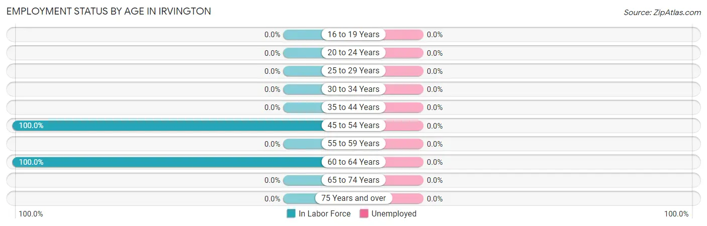 Employment Status by Age in Irvington