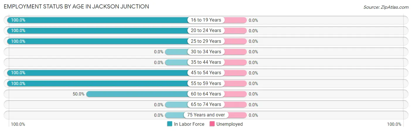 Employment Status by Age in Jackson Junction