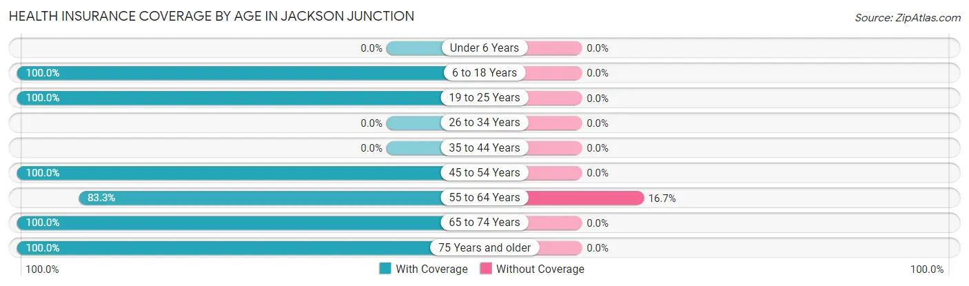 Health Insurance Coverage by Age in Jackson Junction