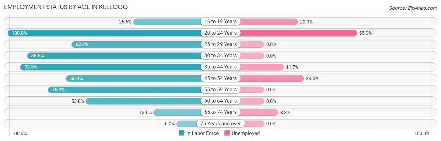 Employment Status by Age in Kellogg