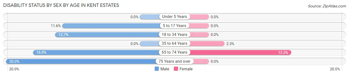 Disability Status by Sex by Age in Kent Estates