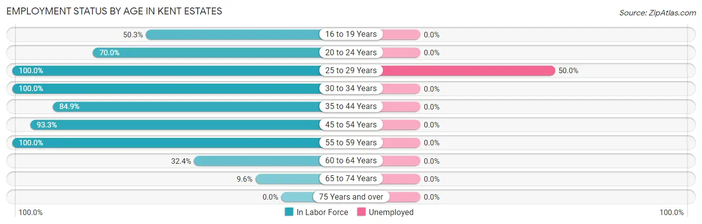 Employment Status by Age in Kent Estates