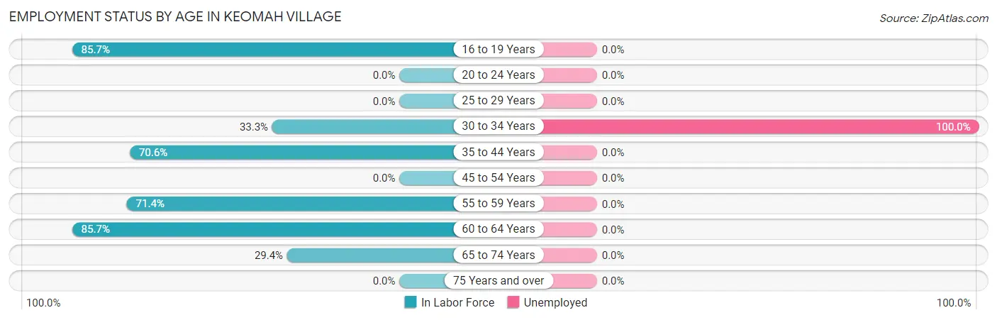 Employment Status by Age in Keomah Village