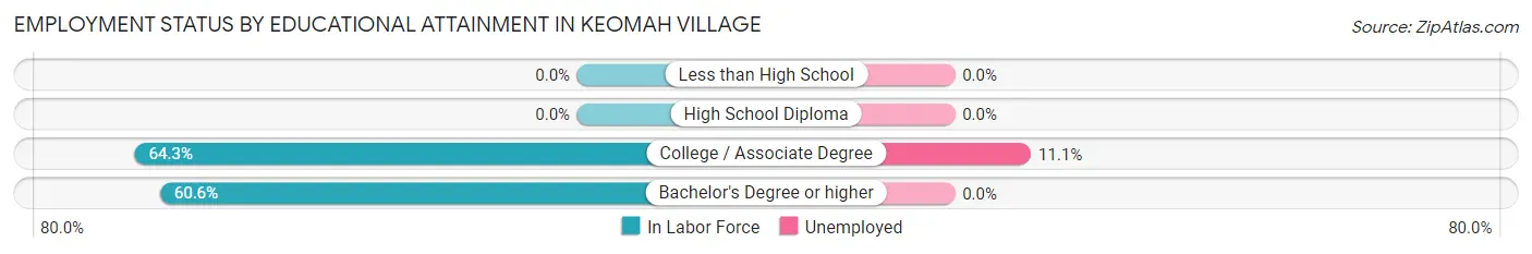 Employment Status by Educational Attainment in Keomah Village