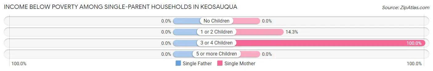 Income Below Poverty Among Single-Parent Households in Keosauqua