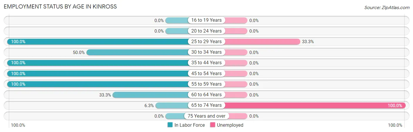 Employment Status by Age in Kinross