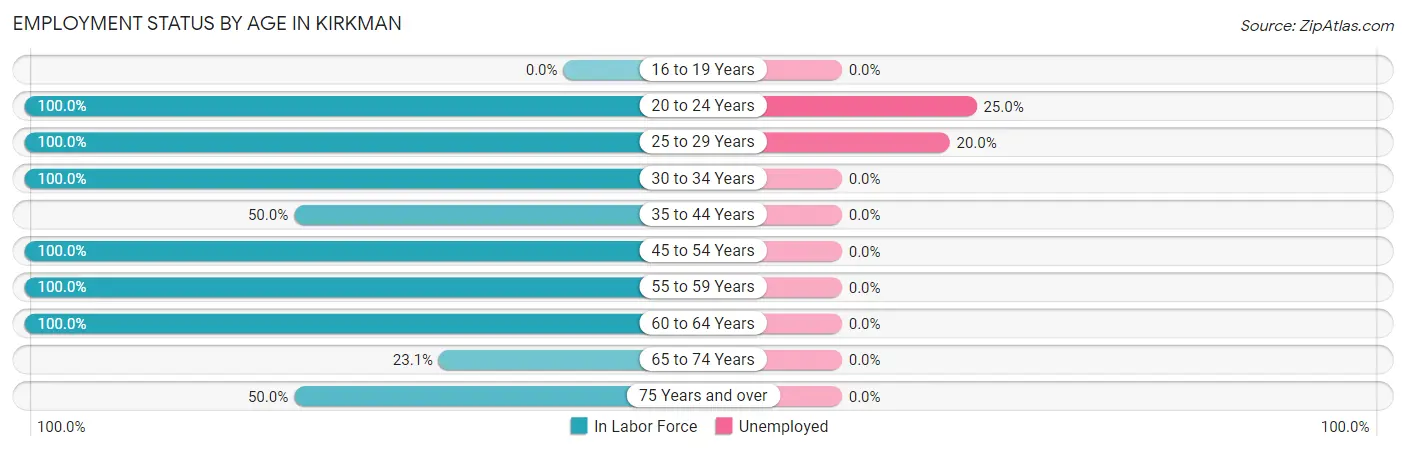 Employment Status by Age in Kirkman