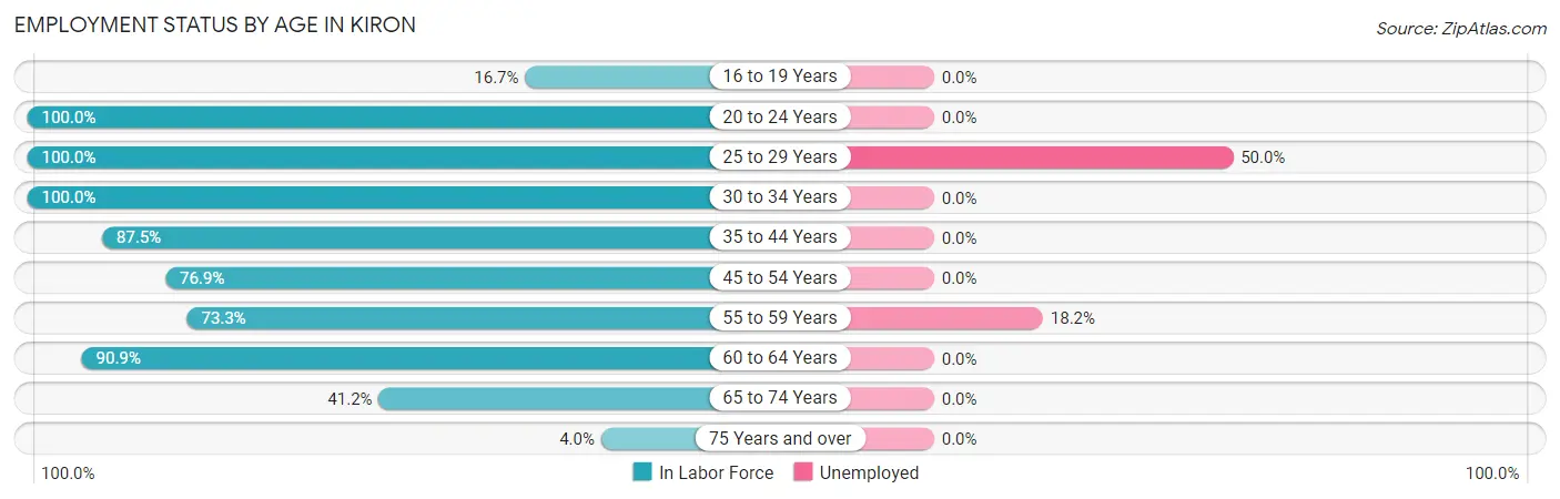Employment Status by Age in Kiron